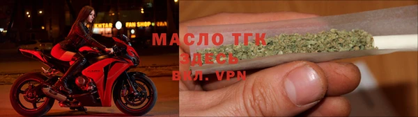 гашик Гусев