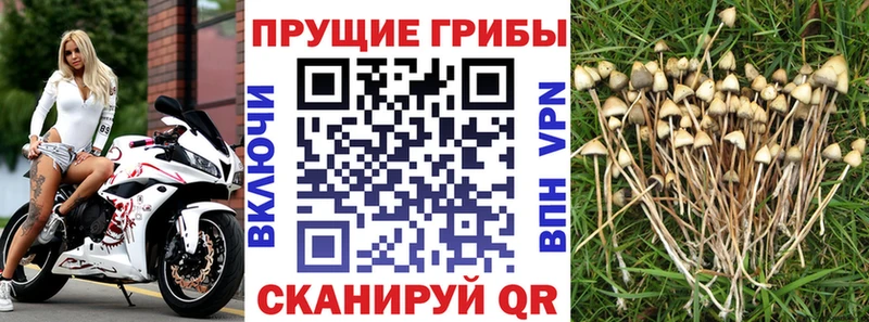 Галлюциногенные грибы MAGIC MUSHROOMS  Купить закладки  Медвежьегорск 